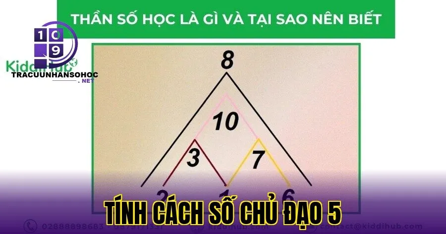 tính cách số chủ đạo 5
