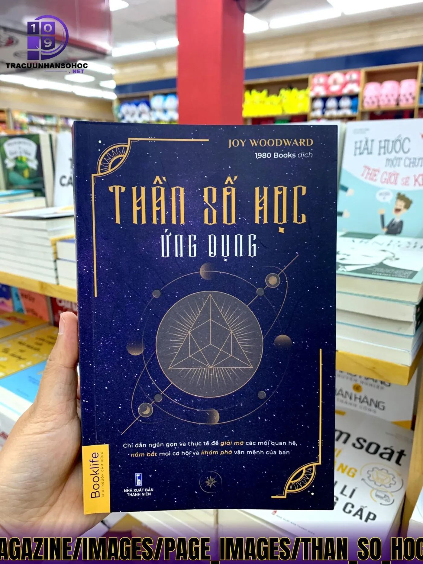 Thần Số Học Nghề Nghiệp Phù Hợp Và Định Hướng Tương Lai