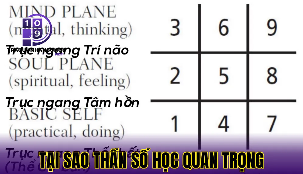 tại sao thần số học quan trọng