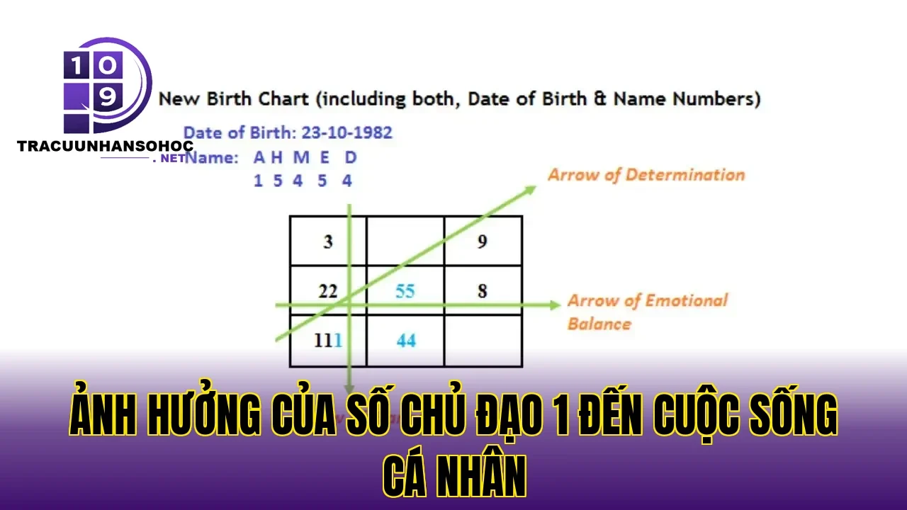 Ảnh hưởng của số chủ đạo 1 đến cuộc sống cá nhân