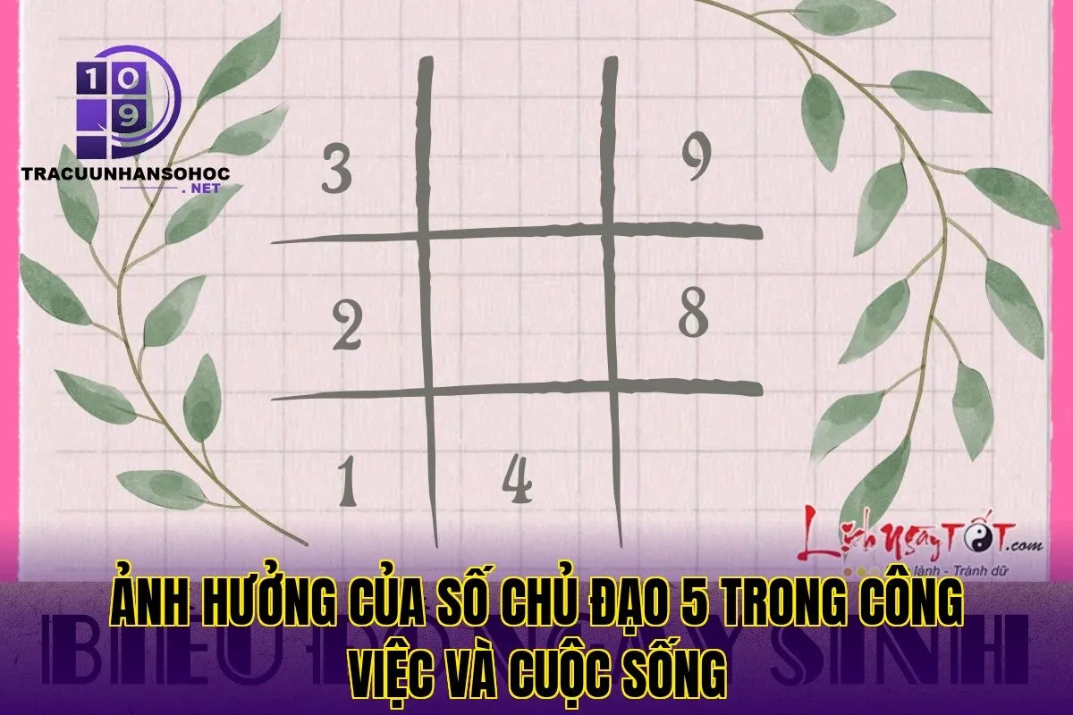 Ảnh hưởng của số chủ đạo 5 trong công việc và cuộc sống