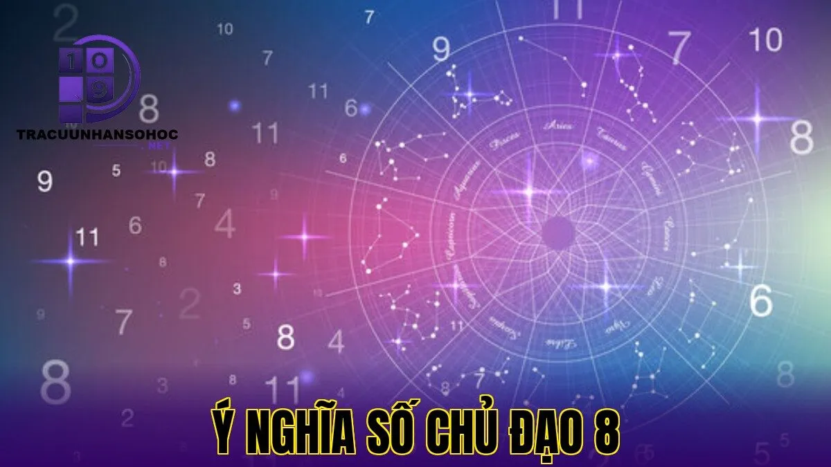 ý nghĩa số chủ đạo 8