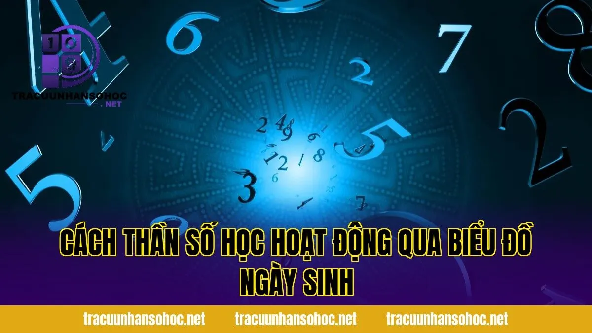 cách thần số học hoạt động qua biểu đồ ngày sinh