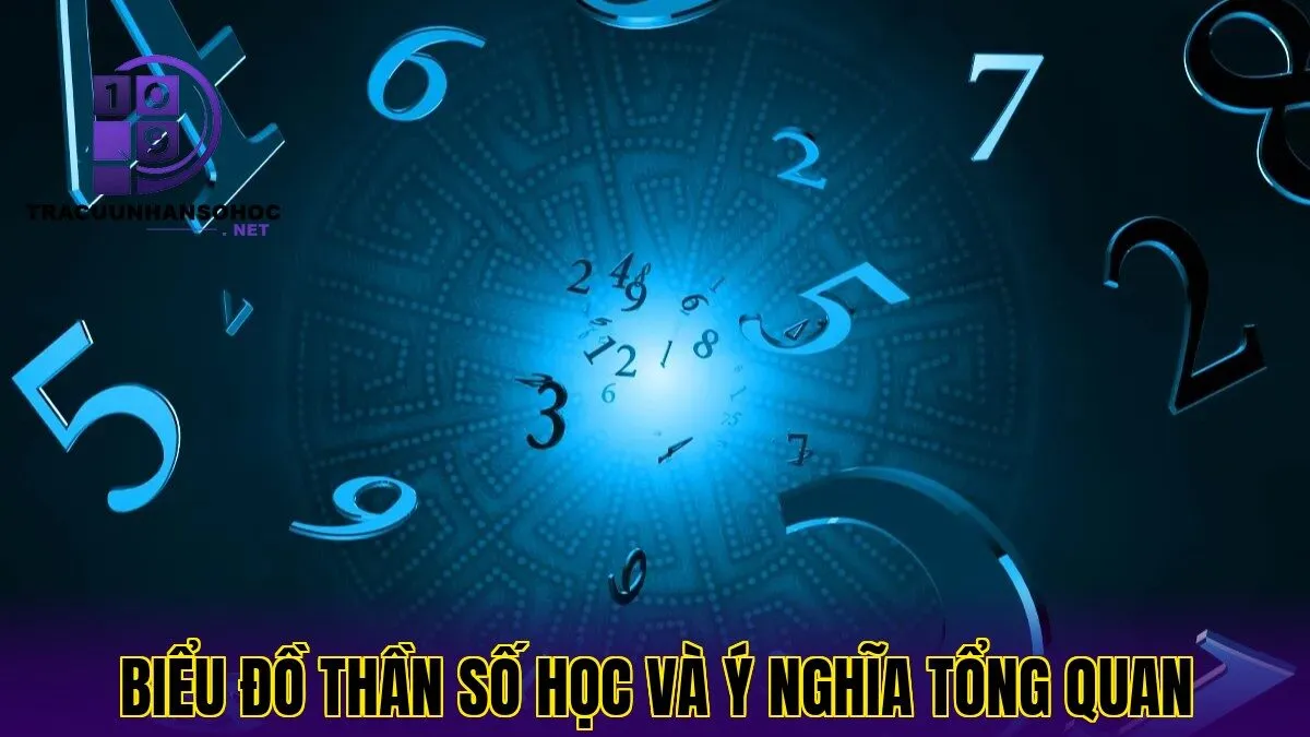 Biểu đồ thần số học và ý nghĩa tổng quan