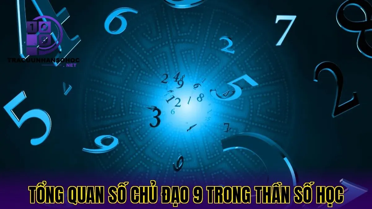 tổng quan số chủ đạo 9 trong thần số học