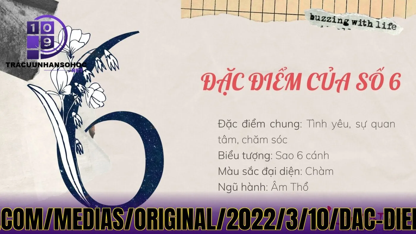 Ý](https://cms.lichngaytot.com/medias/original/2022/3/10/dac-diem-cua-than-so-hoc-so-6.jpg