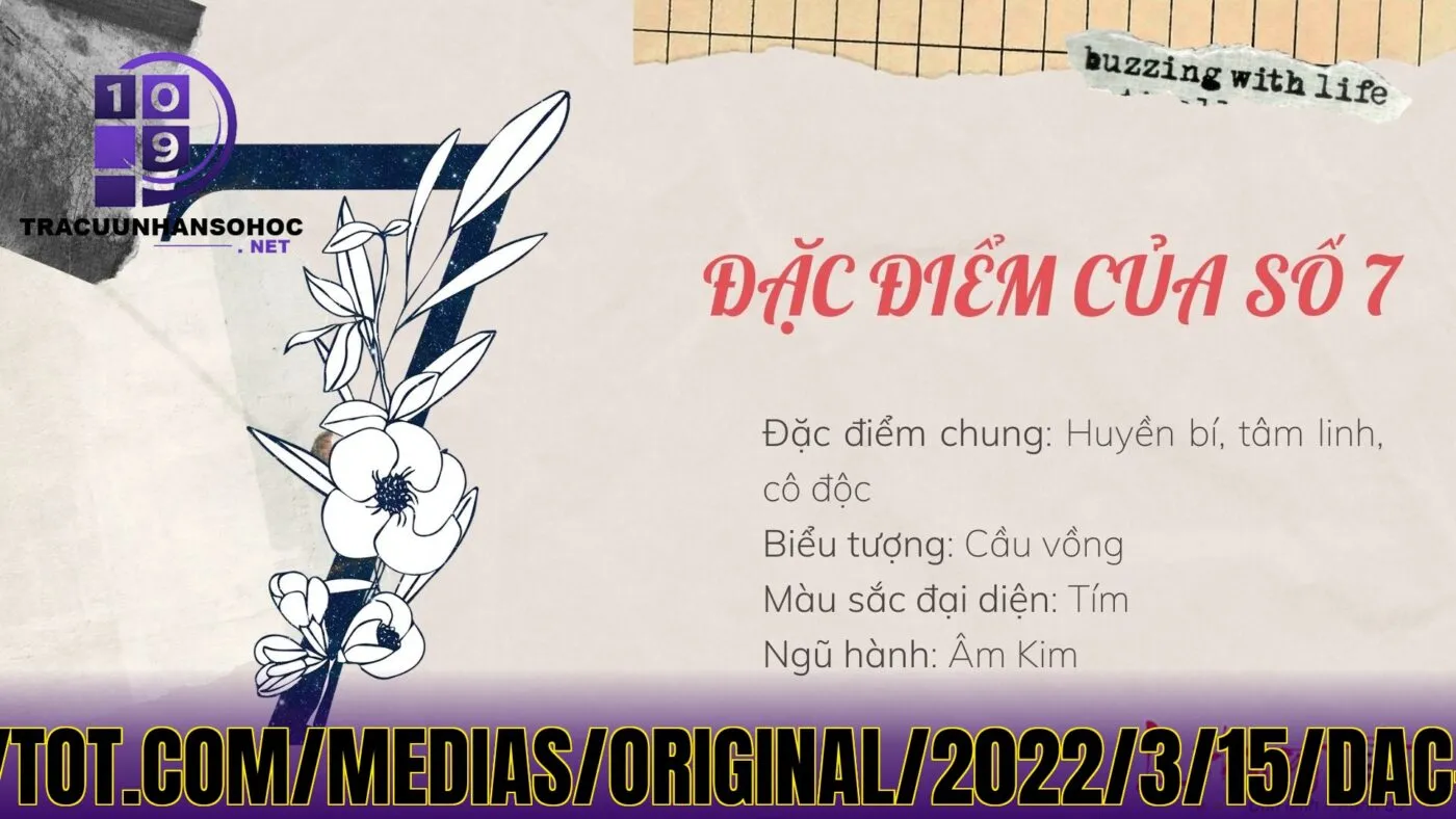 Thần Số Học Nghề Nghiệp Phân Tích Chi Tiết