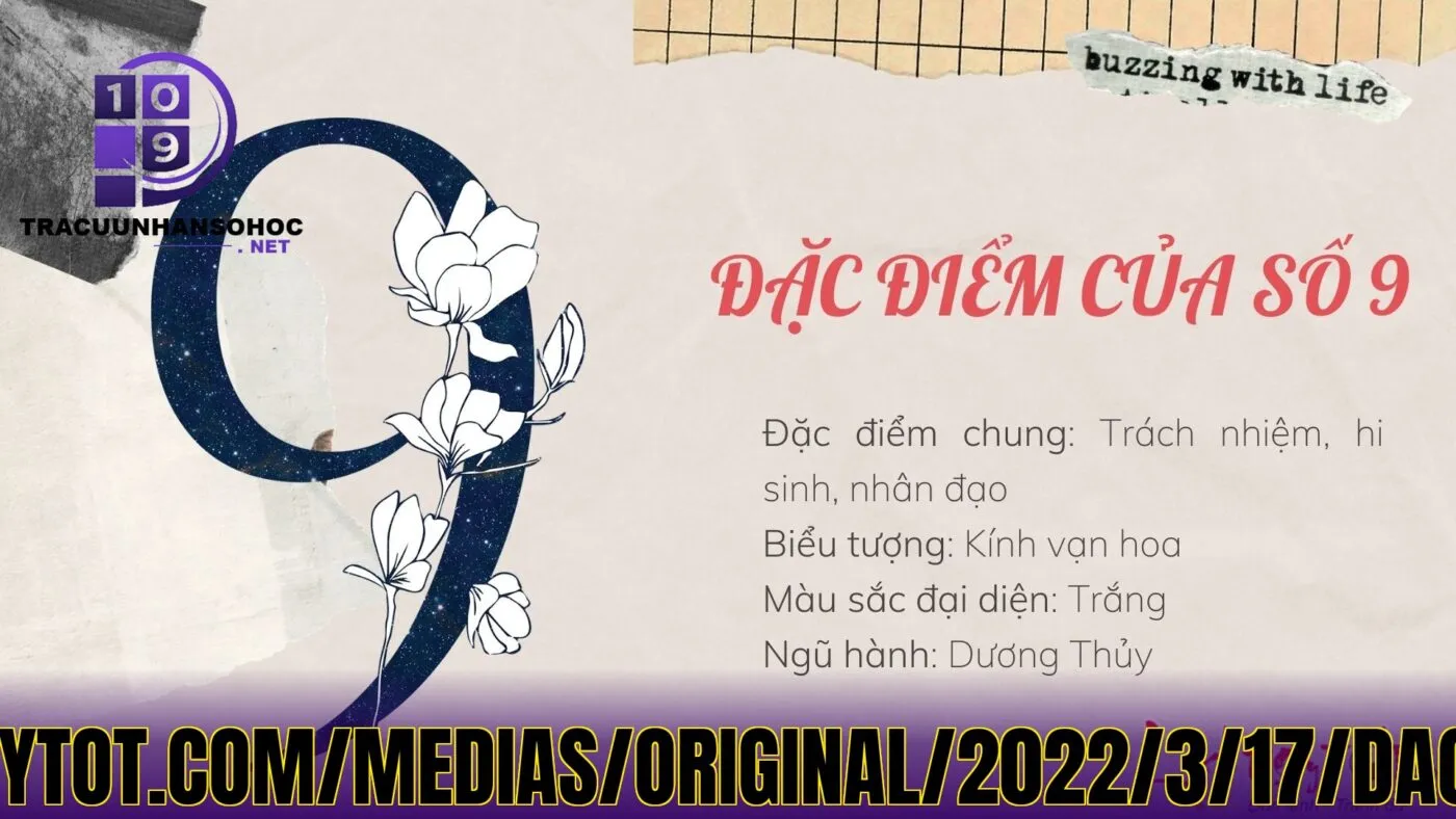 nguồn](https://cms.lichngaytot.com/medias/original/2022/3/17/dac-diem-than-so-hoc-so-9.jpg