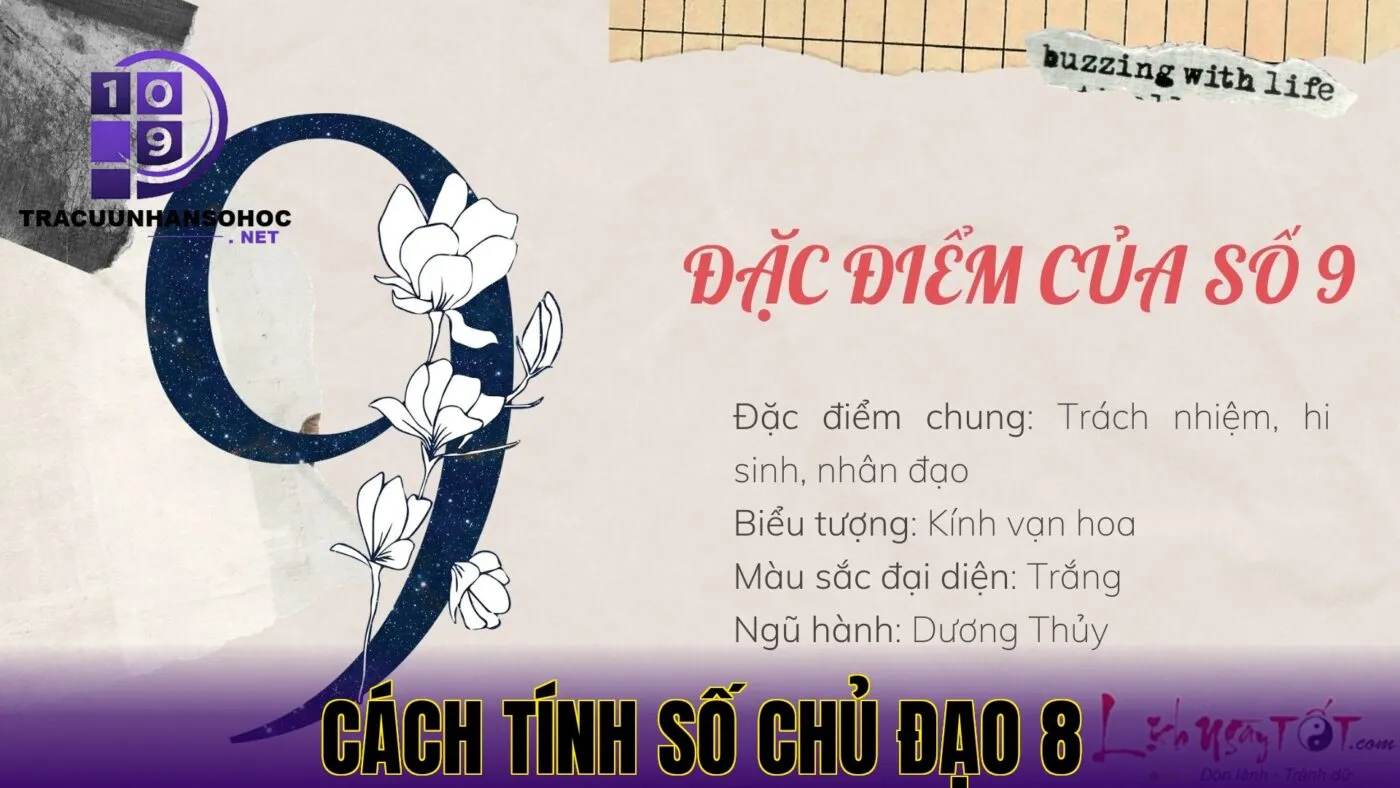 cách tính số chủ đạo 8