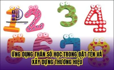 Ứng dụng thần số học trong đặt tên và xây dựng thương hiệu