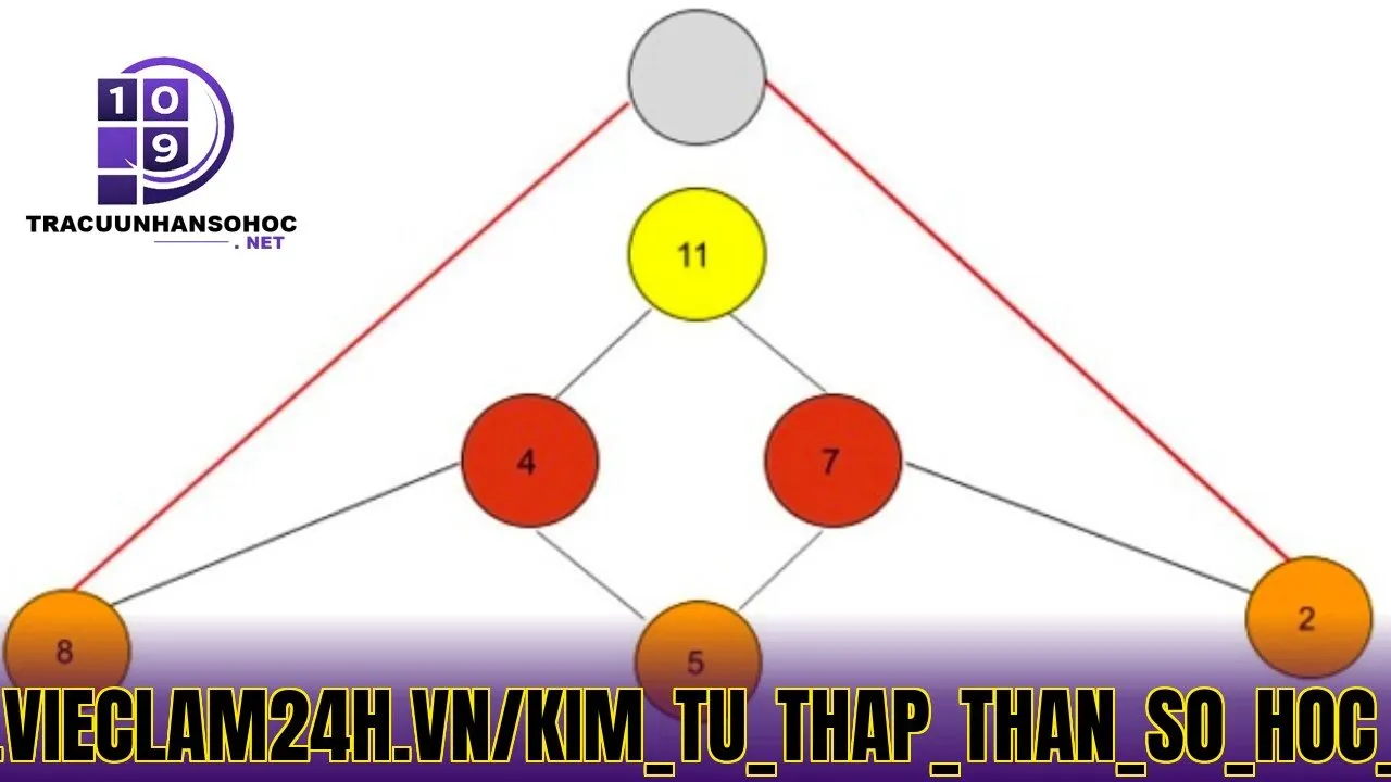cách](https://cdn4.vieclam24h.vn/kim_tu_thap_than_so_hoc_01_f4eed3ea2a.jpeg