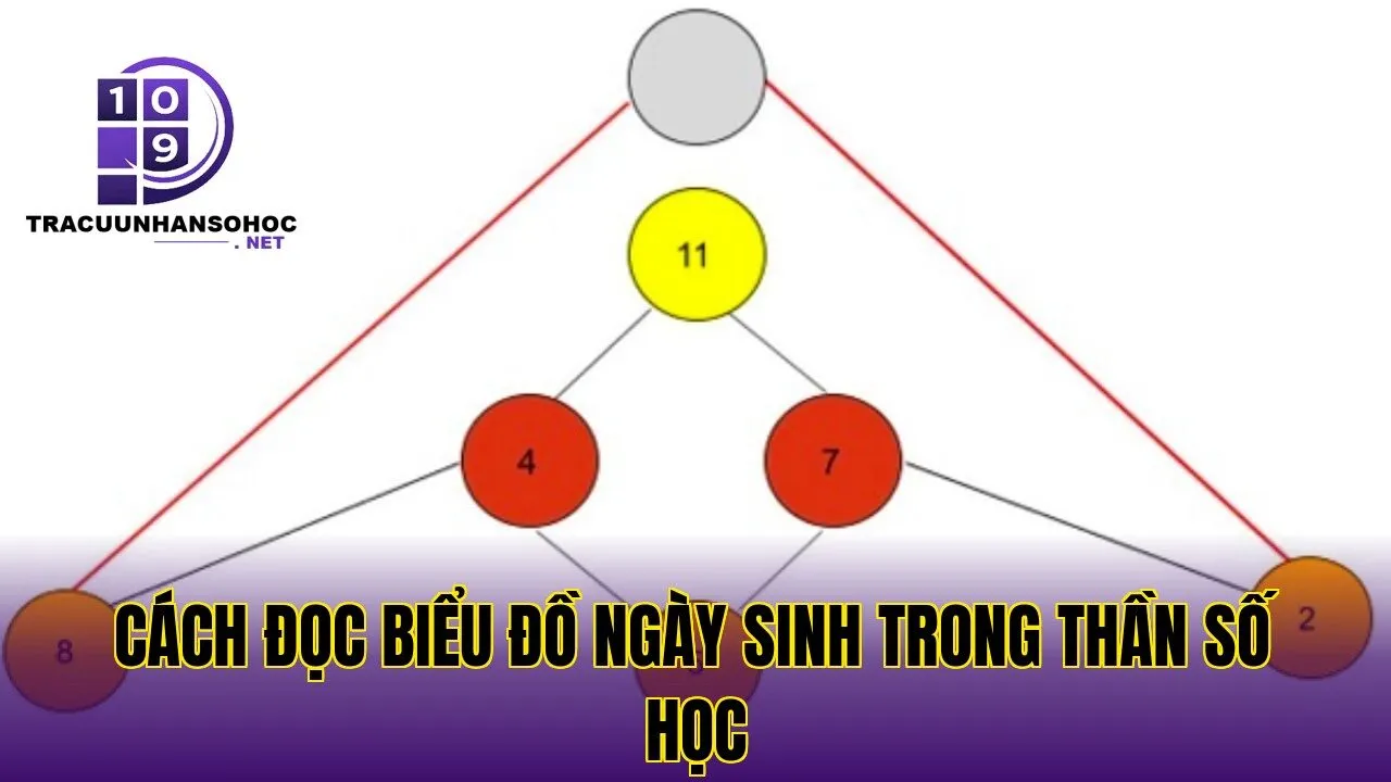 Cách đọc biểu đồ ngày sinh trong thần số học