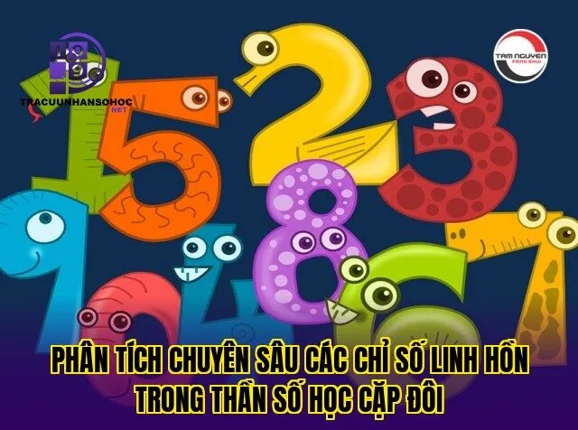 Phân tích chuyên sâu các chỉ số linh hồn trong thần số học cặp đôi