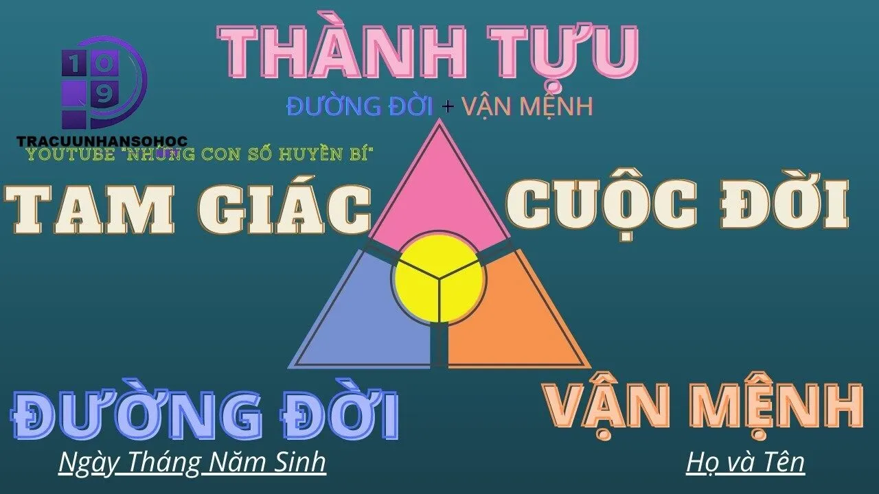 Thần Số Học Số 6: Ý Nghĩa Và Giải Mã Vận Mệnh Chi Tiết