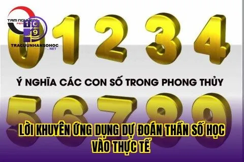Lời khuyên ứng dụng dự đoán thần số học vào thực tế