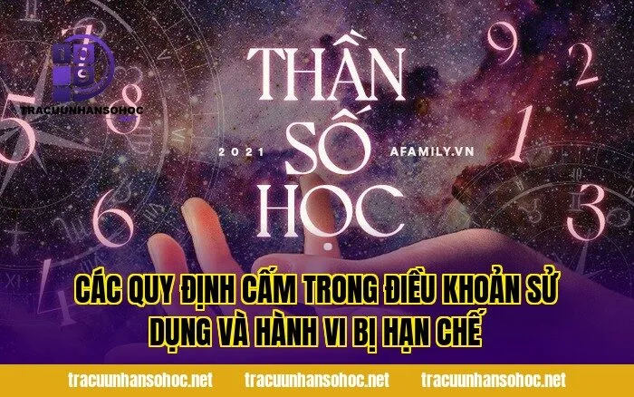 các quy định cấm trong điều khoản sử dụng và hành vi bị hạn chế