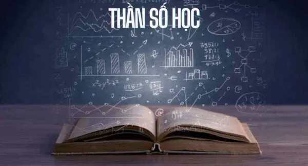 Vì Sao Nên Chọn Tra Cứu Số?