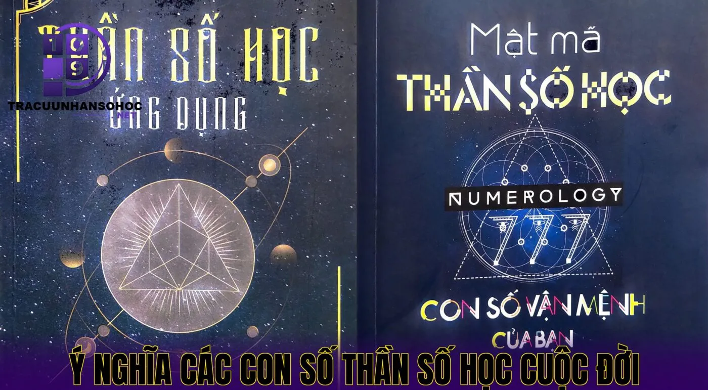 ý nghĩa các con số thần số học cuộc đời