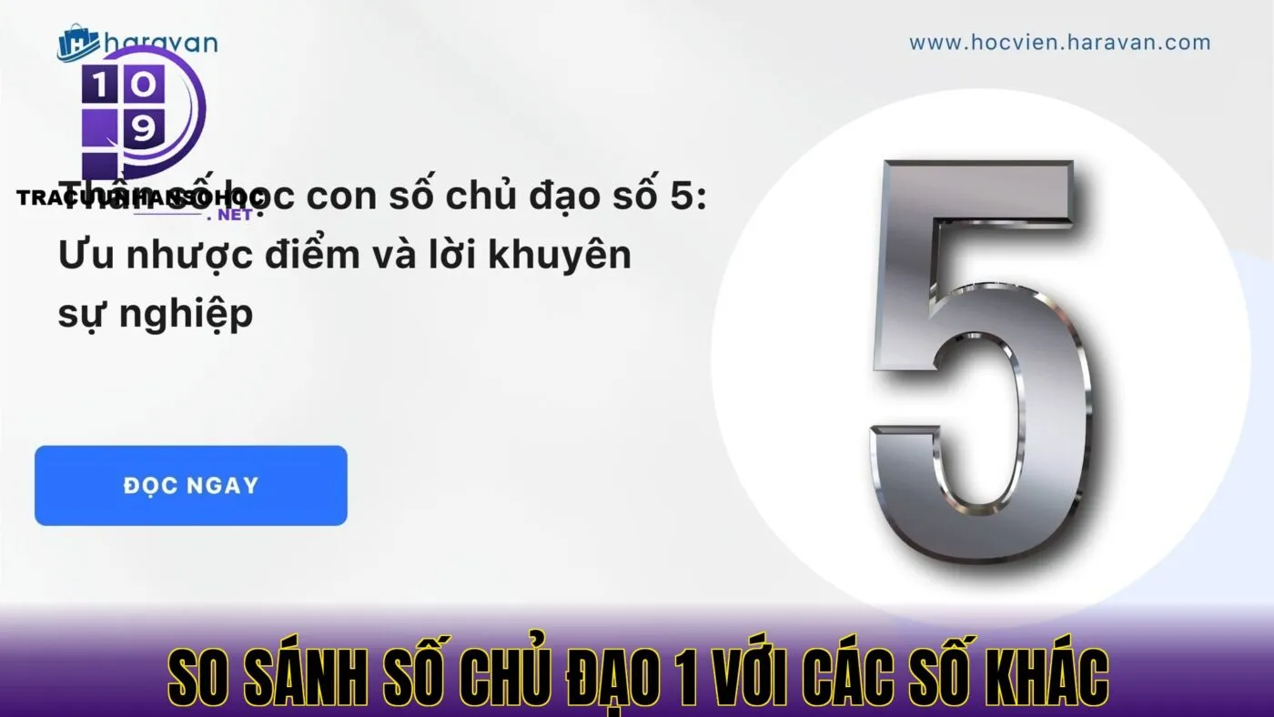 so sánh số chủ đạo 1 với các số khác