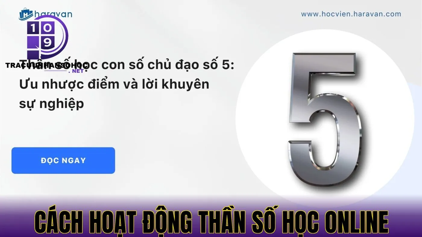 cách hoạt động thần số học online