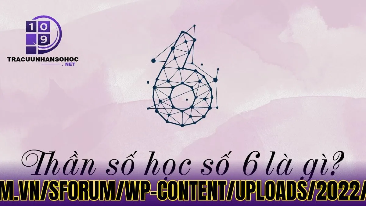 tổ](https://cellphones.com.vn/sforum/wp-content/uploads/2022/12/than-so-hoc-so-6-1.jpg