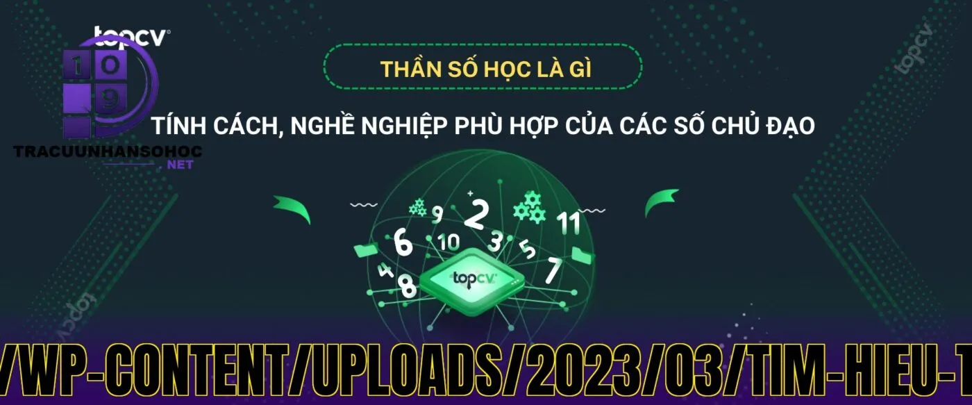 ứng](https://blog.topcv.vn/wp-content/uploads/2023/03/tim-hieu-than-so-hoc-la-gi-topcv.jpg