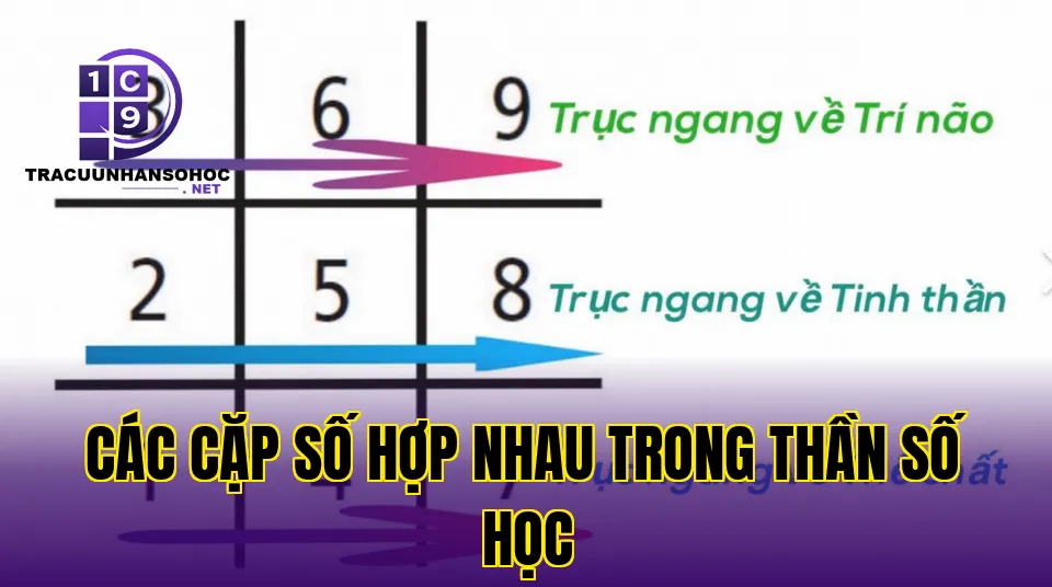các cặp số hợp nhau trong thần số học