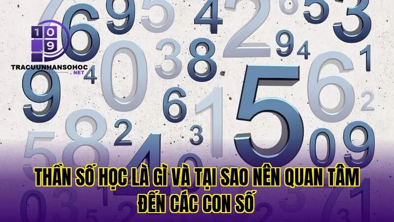 Thần số học là gì và tại sao nên quan tâm đến các con số