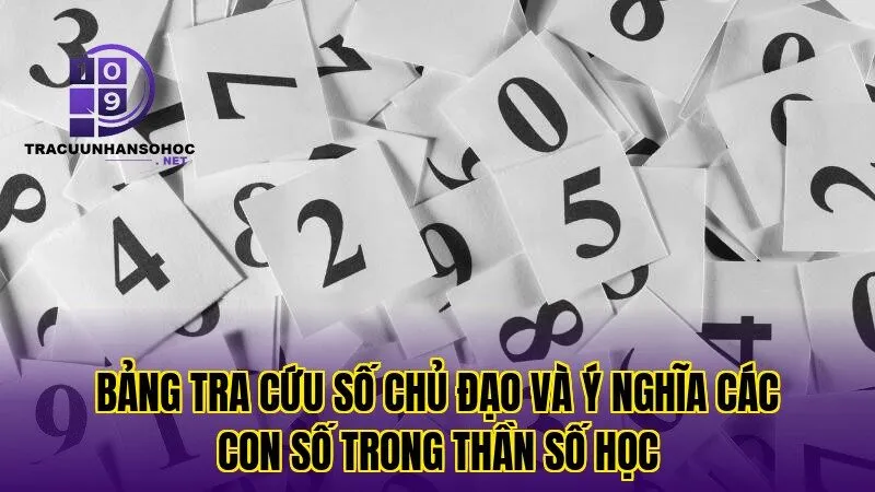 Bảng tra cứu số chủ đạo và ý nghĩa các con số trong thần số học