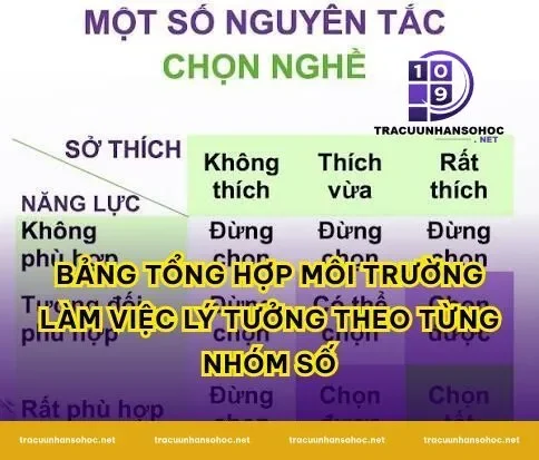 Bảng tổng hợp môi trường làm việc lý tưởng theo từng nhóm số