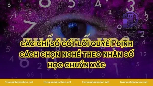 Các chỉ số cốt lõi quyết định Cách Chọn Nghề Theo Nhân Số Học chuẩn xác